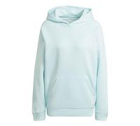 Adidas Womens Hooded Sweat W All Szn Bf Hd, Almost Blue, HN4209, 2XS