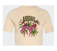 ADIDAS SPORT ADIDAS x FARM RIO GRAPHIC CROPPED T-SHIRT (TB241) L Crystal Linen / Bold Pink