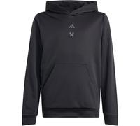ADIDAS SPORT adidas Minecraft Training Hoodie (TW357) 164 Black