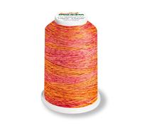 Aero-Flock 9120 und 9121 Miniking 1000m - Uni Multicolor Overlockgarn Bauschgarn für dehnbare Nähte, Nähgarn (Coral Fish)