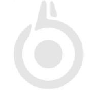 Gummistiefel Aigle PARCOURS 2 ISO bronze 38