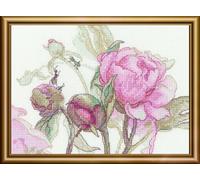 Aine Kreuzstich Stickpackung Pfingstrosen. Freude, Zählmuster, Multifarbig
