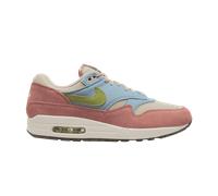 Air Max 1 Light Madder Root Worn Blue