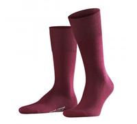 Airport Socks 39/40 barolo