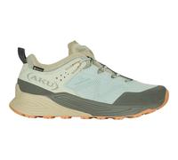 Aku Herren Omnia V-Light GTX Schuhe (Größe 40, blau)