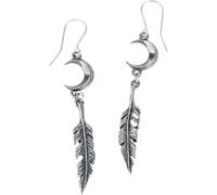 Alchemy Gothic Pagan Dream Catcher Frauen Ohrring schwarz/silberfarben