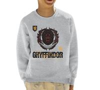 All+Every Harry Potter Gryffindor Lion Kid's Sweatshirt