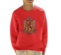 All+Every Harry Potter Gryffindor Quidditch Distressed Shield Kid's Sweatshirt