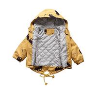 Allence Kinder Cartoon Jacken Windjacke Übergangsjack Kinderbekleidung Niedliches mit Kapuzen 1-8 Jahre Alt (Auto Muster)