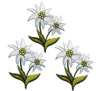 alles-meine.de GmbH 3 Stück Bügelbilder/Applikation/Aufbügler - Alpen - Edelweiß - Blume - 5,2 cm * 4 cm - Aufnäher/gewebte Flicken - zum Aufbügeln Aufkleben Aufnähen - B..