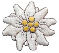 alles-meine.de GmbH Bügelbild - große Blüte - Edelweiss - 7,2 cm * 6,4 cm - Aufnäher/Applikation/Aufbügler - gestickter Flicken - Bügelflicken/Hosenflicken - Bügelsticker -..