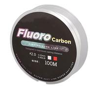 Alomejor 100 M Gewebte Fischereilinie der Verschleißlinie Resistenter Köder Glatt Super Hart für Karpfenfischen in Plastikmeer (#2.0)