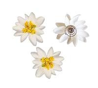 Alpenflüstern Trachten Haar-Curlies Edelweiss Stoffblüten 3-er Set (creme-weiß) ADV114