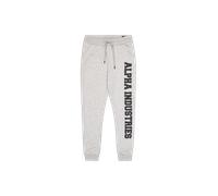 Alpha Industries Sweathose »BIG LETTERS JOGGER«, grey heather