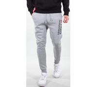 Alpha Industries Block-Logo Jogginghose, grau, Größe 2XL