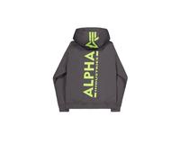 Alpha Industries Herren Hoodie Back Print vintage grey S