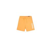 Alpha Industries Herren Puff Print Short