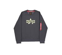 Alpha Industries Herren Sweater Logo Edge Crewneck vintage grey XL