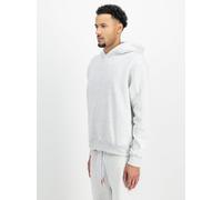 Alpha Industries Kapuzensweatshirt Herren grau, S
