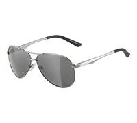 ALPINA Brille A 107 (A8517) ONE SIZE titanium matt