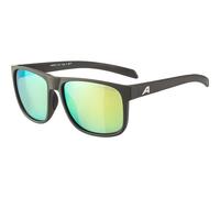 ALPINA Herren Brille NACAN III (A8662) ONE SIZE coffee-grey matt 322