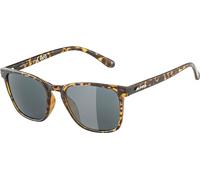 ALPINA Yefe P A8737 592 54 havana gloss / black polarized