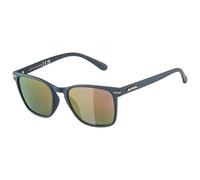 Alpina - Yefe Polarized Mirror Cat. 3 - Sonnenbrille grau (Blue Matt / Smoke Red Mirror)
