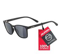 Alpina Yefe all black matt silber (31)