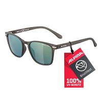 ALPINA Yefe A8647 321 54 grey transparent matt / gold mirror