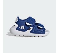 ALTASWIM 3 SANDALE für Babys und Kleinkinder Royal Blue / Cloud White / Royal Blue 20