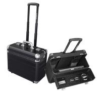 ALUMAXX Pilotenkoffer DISCOVERY schwarz matt bis 39,6 cm (15,6 Zoll)