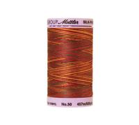 Amann SILK-FINISH COTTON MULTI No.50/ 457 m