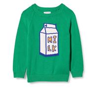 Amazon Essentials Jungen Pullover mit Rundhalsausschnitt, Grün Milk Carton, 11-12 Jahre
