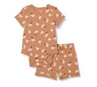 Amazon Essentials Unisex Baby Set aus Body und Shorts, Löwe Pony, 3-6 Monate