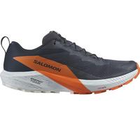 Amer Sports Deutschland GmbH Schuhe SENSE RIDE 5 GTX Indink, 10