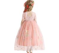 Amissz BlumenmäDchenkleider Spitze Hinten Kleid Und Blumenstickerei Geburtstag Tutu-TüLl-Kleider Festliches Kleid MäDchen Abendkleid Cocktailkleid Festzug Ballkleid 2-8 Jahr