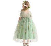 Amissz BlumenmäDchenkleider Spitze Hinten Kleid Und Blumenstickerei Geburtstag Tutu-TüLl-Kleider Festliches Kleid MäDchen Abendkleid Cocktailkleid Festzug Ballkleid 2-8 Jahr