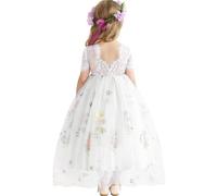 Amissz BlumenmäDchenkleider Spitze Hinten Kleid Und Blumenstickerei Geburtstag Tutu-TüLl-Kleider Festliches Kleid MäDchen Abendkleid Cocktailkleid Festzug Ballkleid 2-8 Jahr