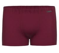 AMMANN Cotton & More Retro-Short bordeaux - 8