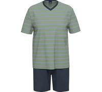 Ammann Single-Jersey Herren-Shorty gruen/blau 56