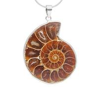 Ammonit Anhänger 2-3 cm | Natürliches fossil mit 925er Silberöse | Inklusive schwarzem Baumwollband