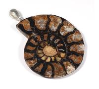 Ammonit-Fossil 925er Silber-Anhänger, ca. 40-45 mm