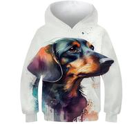 AMNOOL Hoodies 3D-Druck Dackel Hunde Jungen Mädchen Kinder Sweatshirts Junge Mädchen Kapuzenpullover Kinder Herbst Winter Oversize Hoodie 6-7Y
