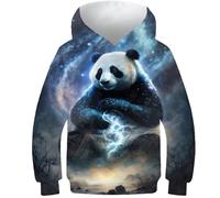 AMNOOL Unisex 3D Hoodies für Kinder 3D Panda Art Style Hoodies Langarm Sweatshirts Pullover Tops Mädchen Pullover Herbst Jungen Kleidung Pullover 13-15 Jahre