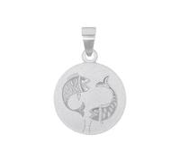 Amor Motivanhänger für Damen und Herren, Unisex, 925 Sterling Silber | Fische, silber Silber