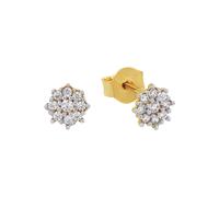 amor Ohrstecker Gold Damen