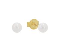 amor Ohrstecker Gold Damen
