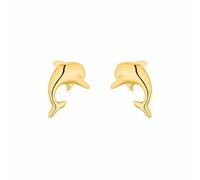 amor Ohrstecker Gold Damen
