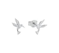 amor - Ohrstecker für Damen, 925 Sterling Silber | Kolibri Ohrringe