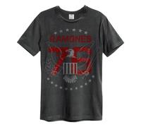 Amplified 1976 Ramones T-Shirt für Erwachsene, Unisex, Anthrazit, L